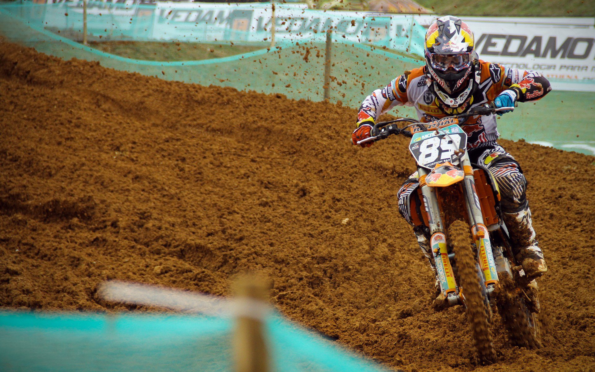 开云体育在线-约基奇内线翻江倒海如入无人之境，国王稳扎稳打轻取黄蜂晋级